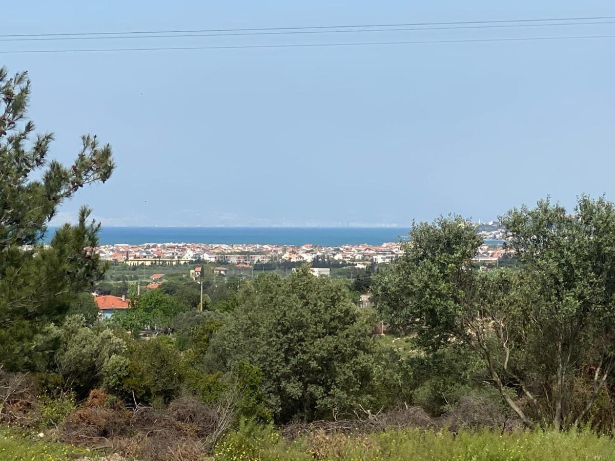 Nefes Urla Bungalov 3 Εξωτερικό φωτογραφία