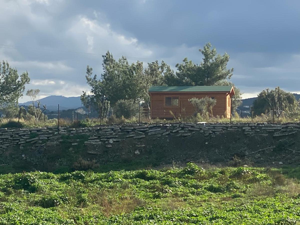 Nefes Urla Bungalov 3 Εξωτερικό φωτογραφία
